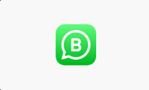 WhatsApp API